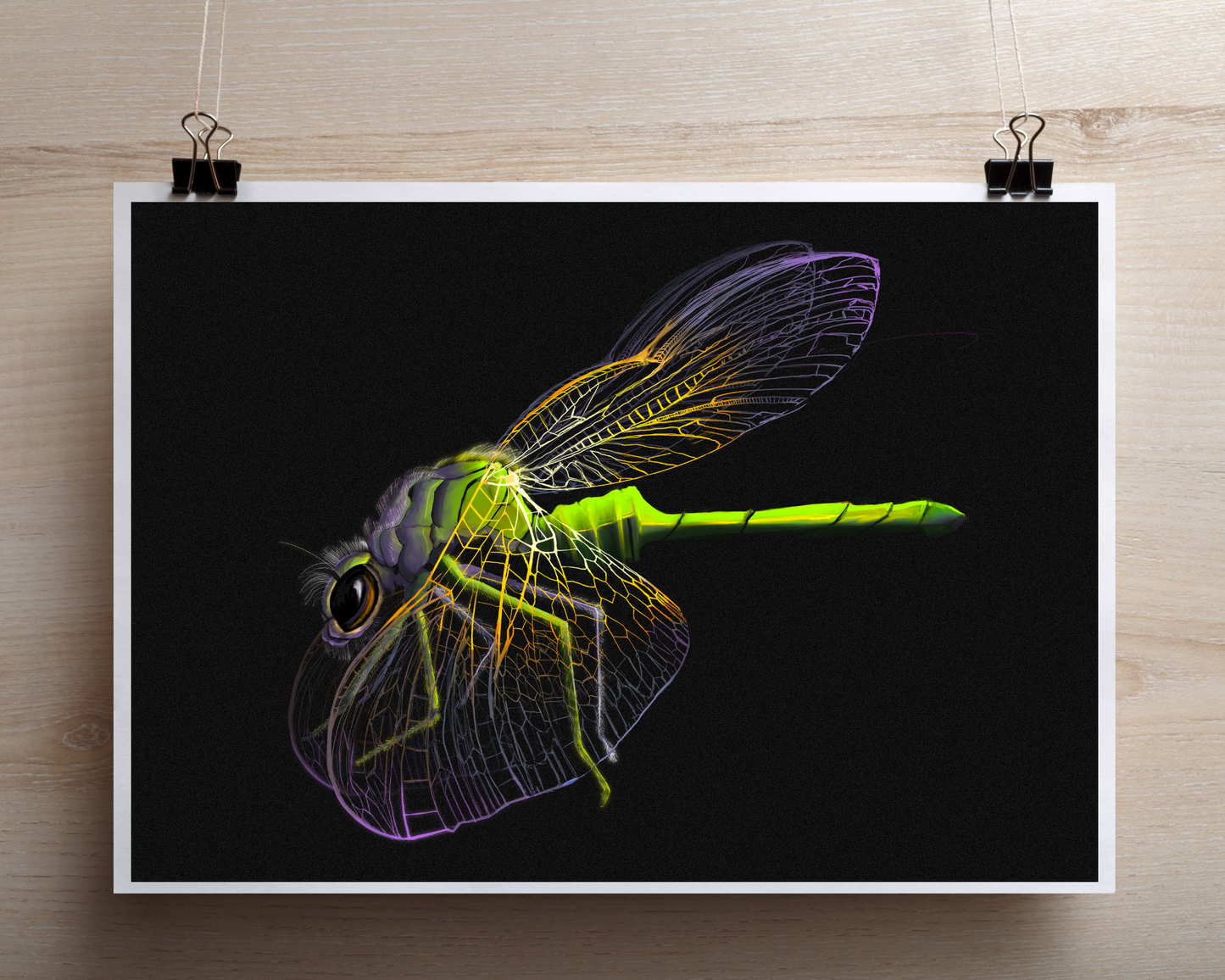 Dragonfly Art Print, Bug Art, Unique Art: 8x10