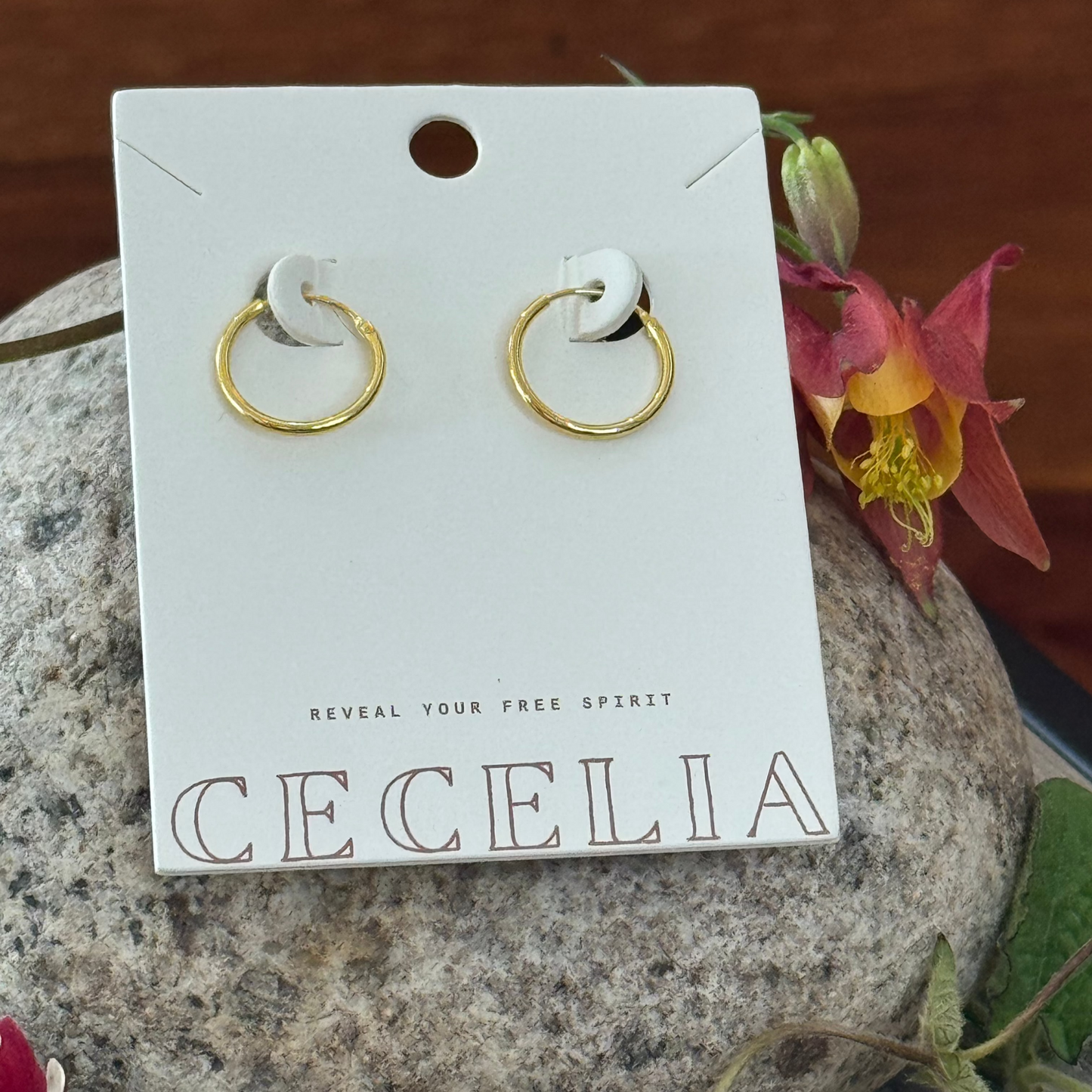 Small Hoop Earrings
