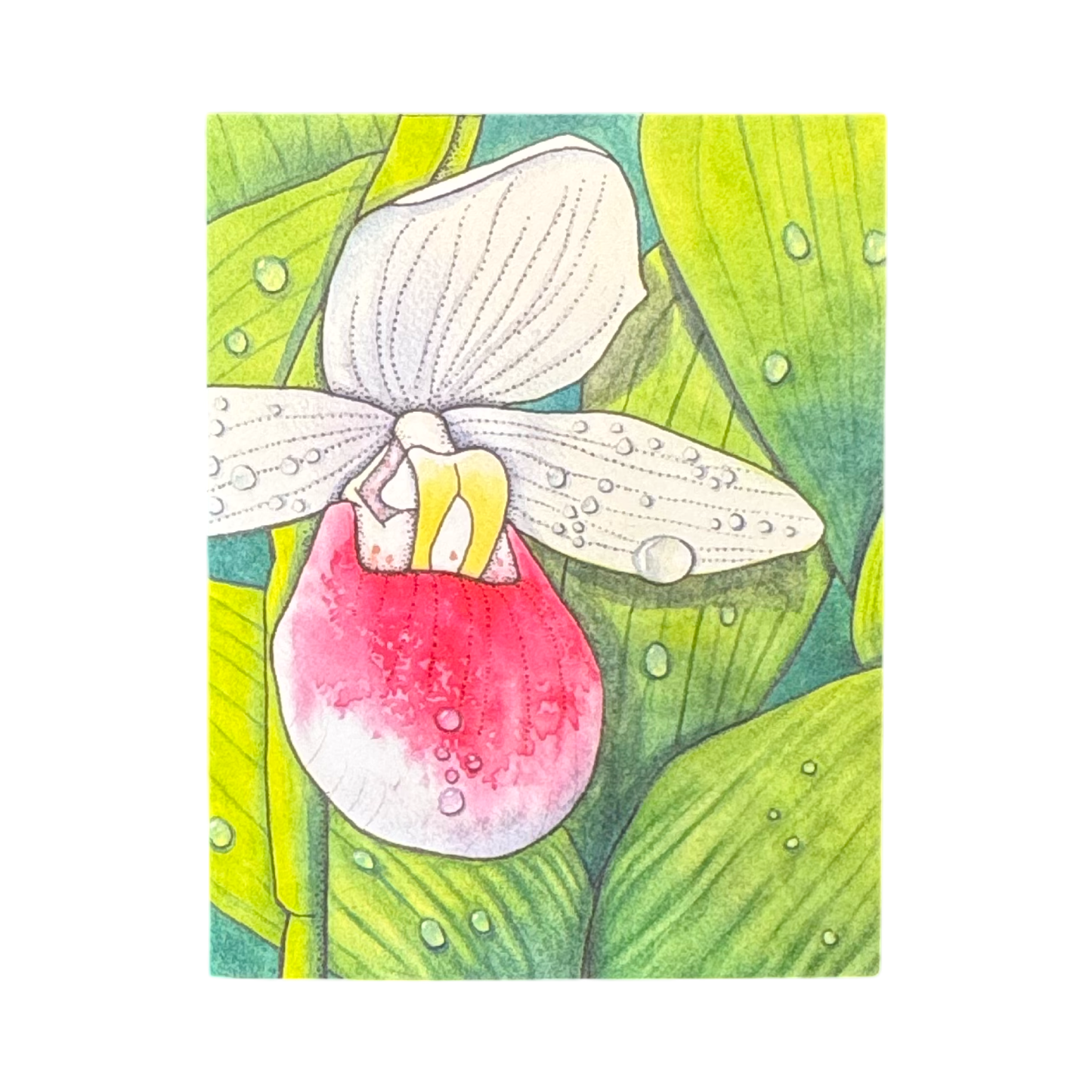 Anni Friesen Cards- Watercolor