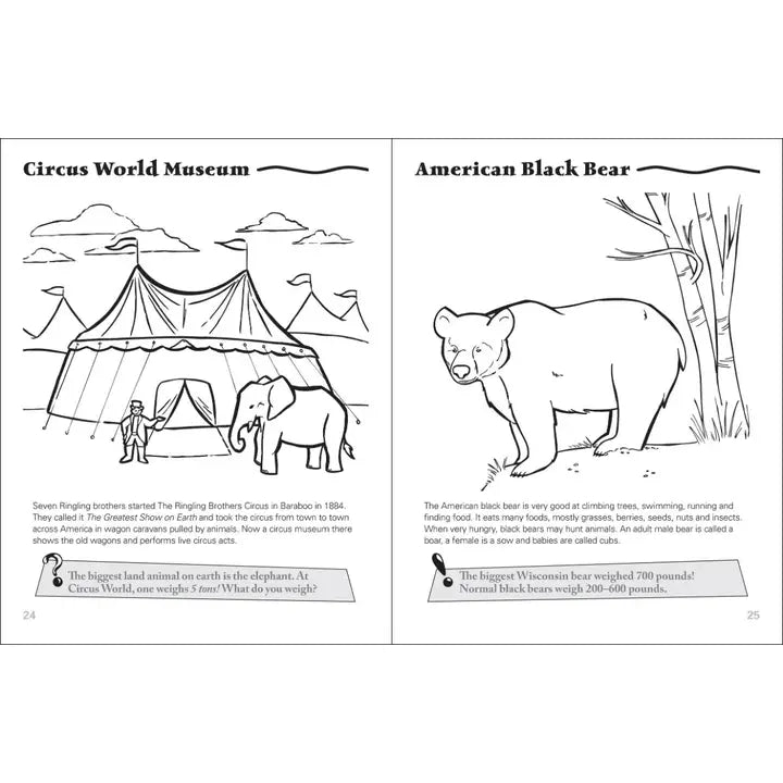 Wisconsin Activity Book