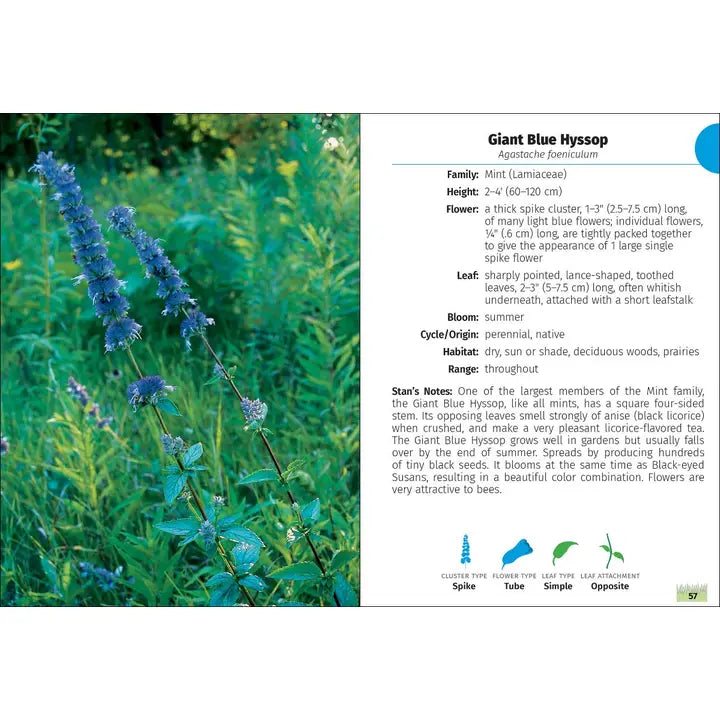 Wildflowers of Wisconsin Field Guide 2e