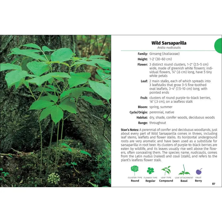 Wildflowers of Wisconsin Field Guide 2e