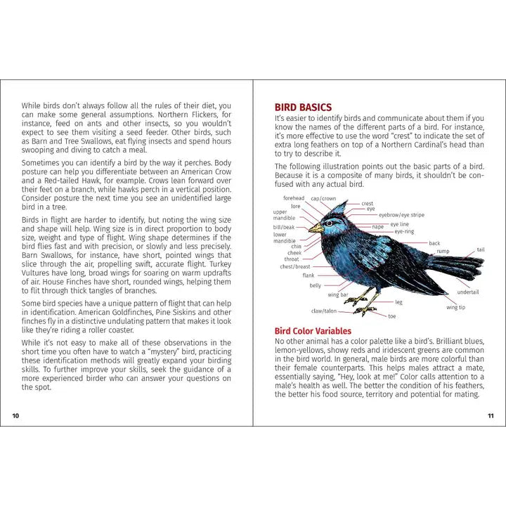 Birds of Wisconsin Field Guide, 3rd Ed