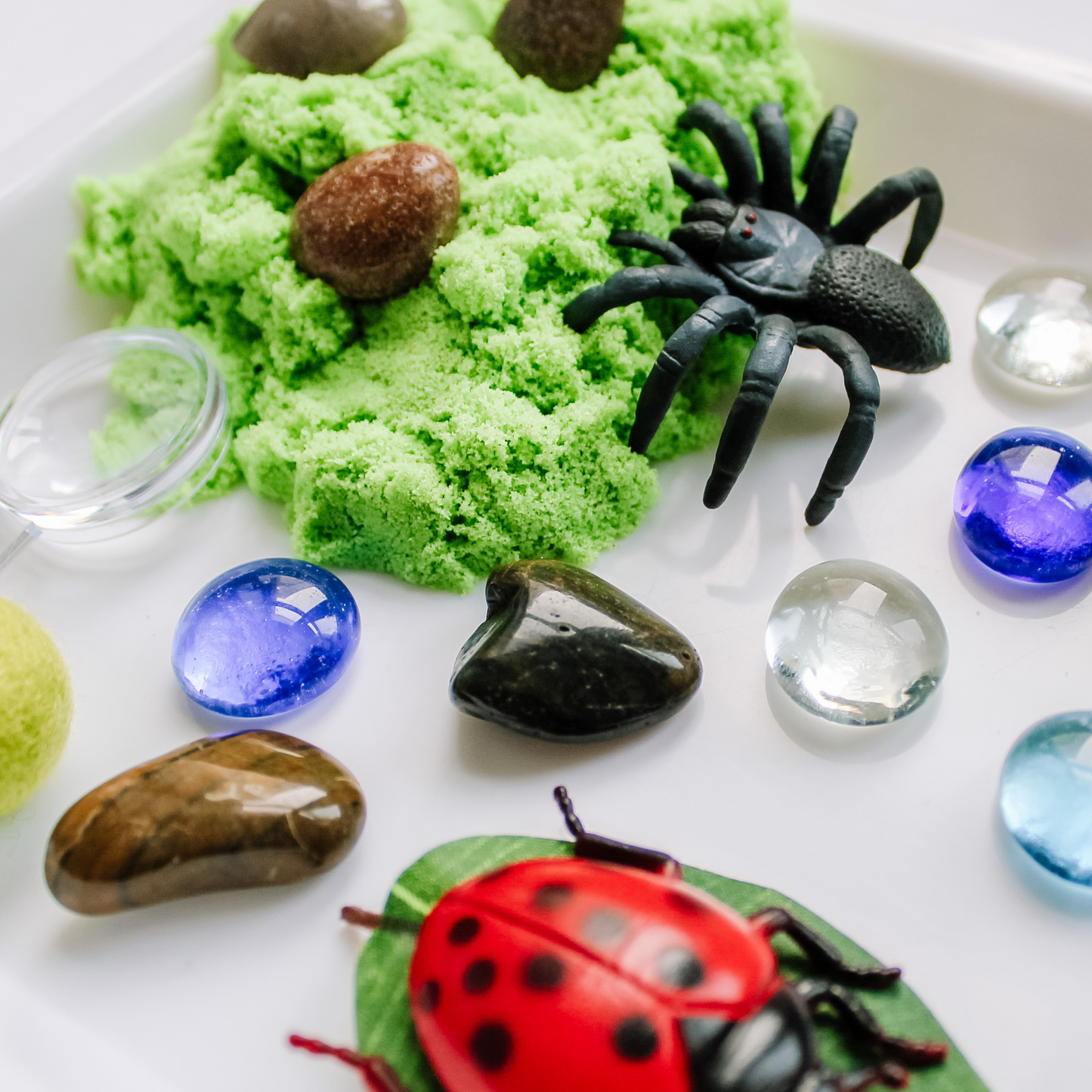 Children's Bugs Play Dough Sensory Kit: Play Dough