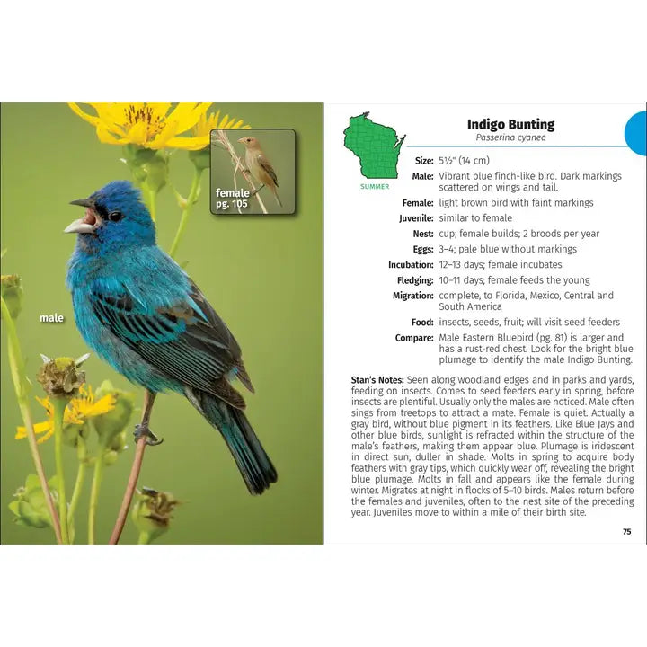 Birds of Wisconsin Field Guide, 3rd Ed