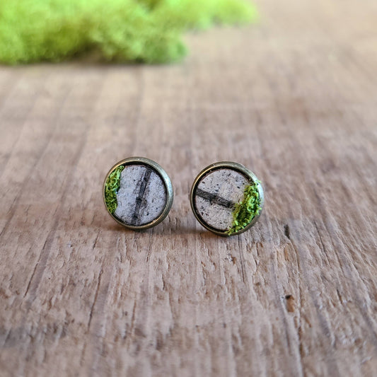 Mossy Birch Bark Earrings Botanical Nature Rustic Small