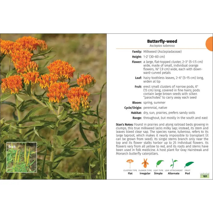 Wildflowers of Wisconsin Field Guide 2e