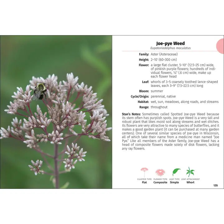 Wildflowers of Wisconsin Field Guide 2e