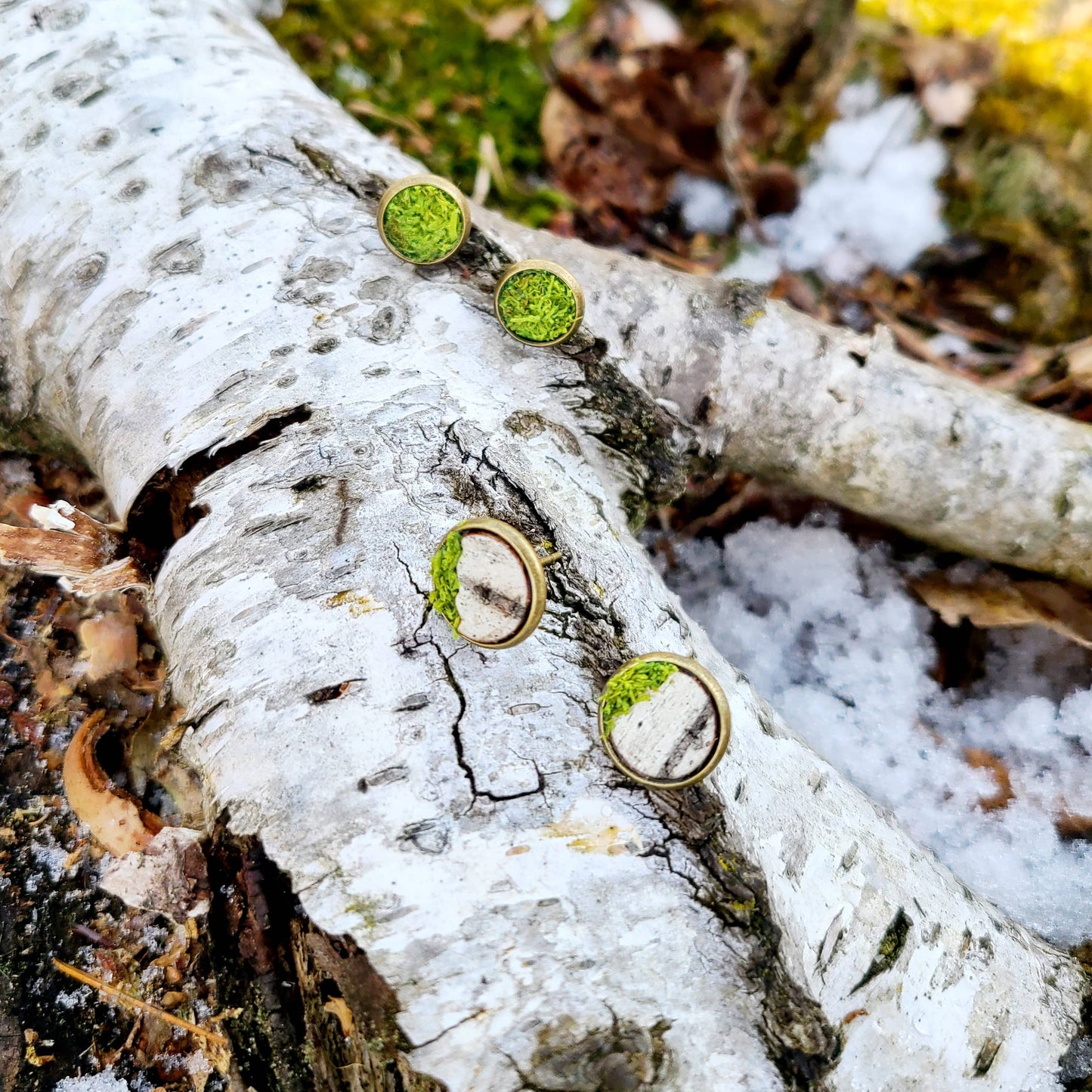 Mossy Birch Bark Earrings Botanical Nature Rustic Small