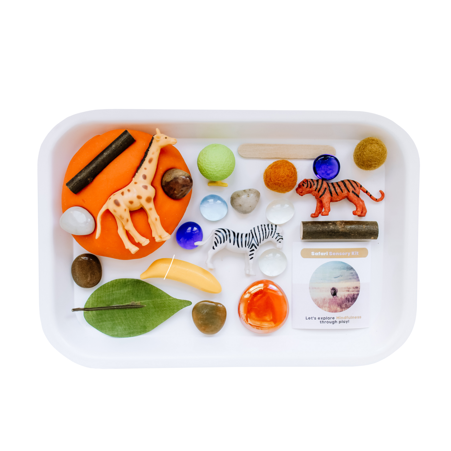 Children's Safari Sensory Play Dough Kit: Play Dough