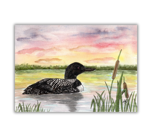 Loon at Sunset - Pen and Watercolor Painting Fine Art Print: 11x14 inches