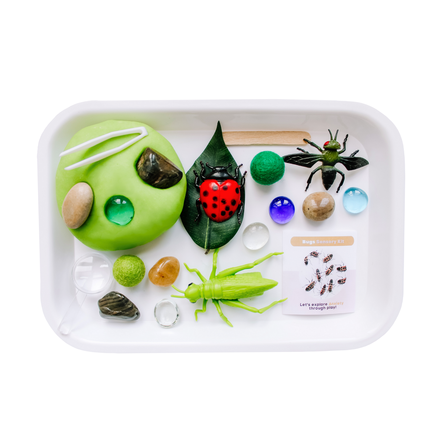 Children's Bugs Play Dough Sensory Kit: Play Dough